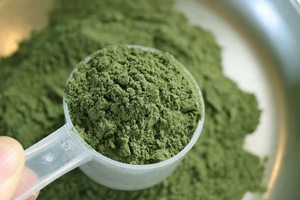 bubuk kratom
