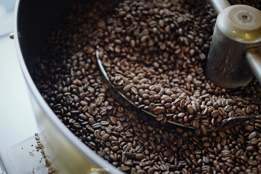 kopi sangrai