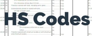 Read more about the article Apa Itu HS Code Dalam Ekspor