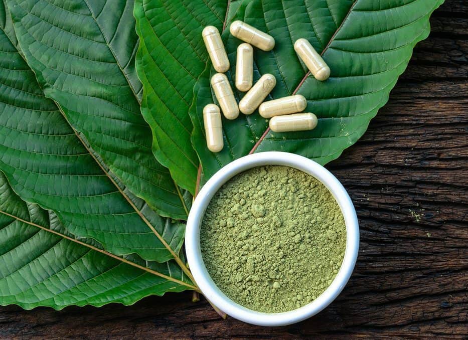 You are currently viewing Ekspor Kratom Yang Masih Dinilai Abu-Abu