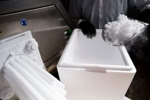 Read more about the article Cara Kirim Barang Dengan Dry Ice