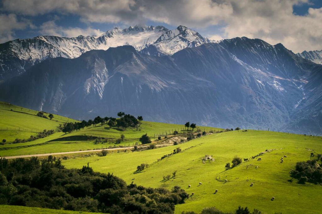 new zealand